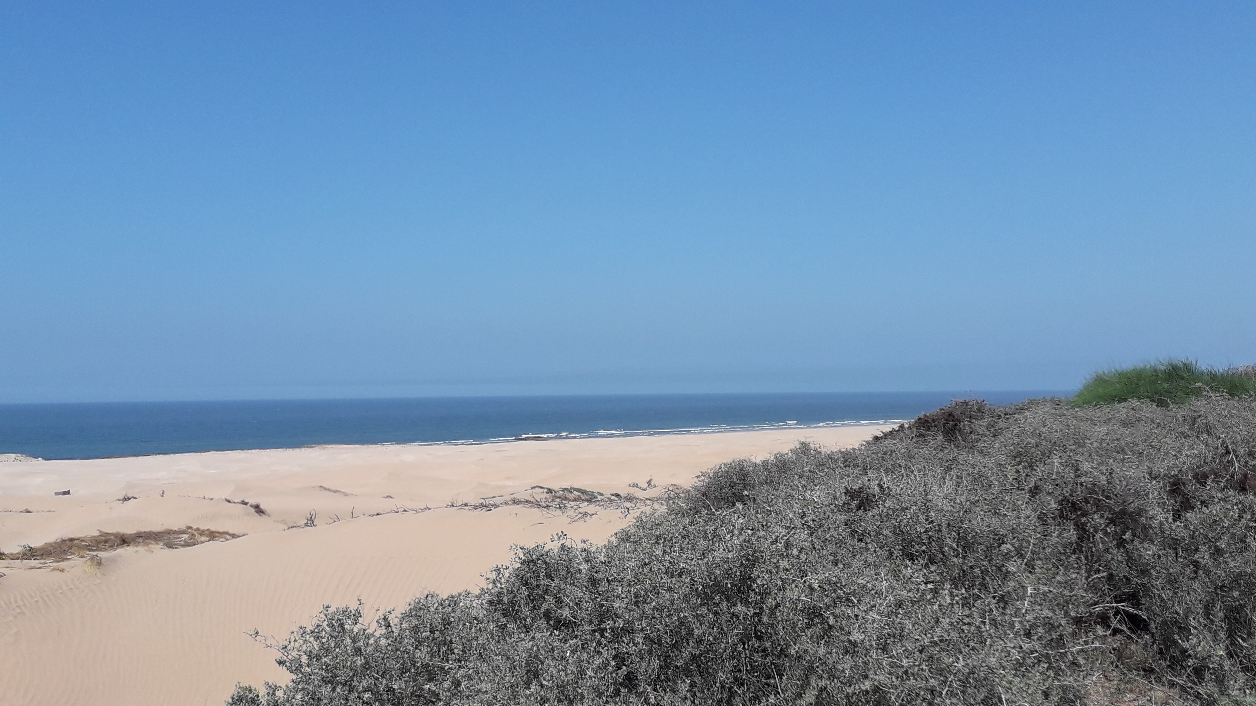 Pause repas sur la route côtière vers Safi