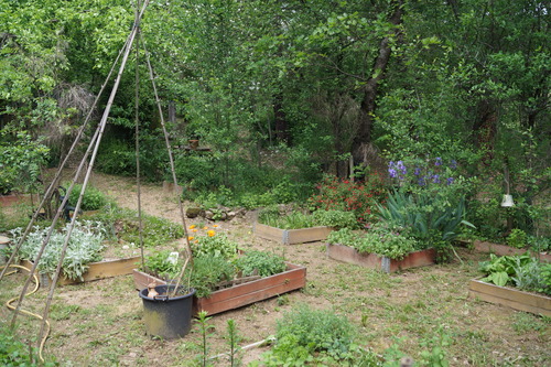 Petite balade dans le jardin