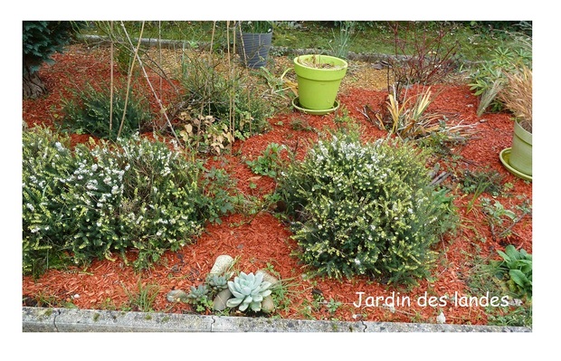 Le jardin en novembre.