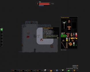 Rogue's Tale 3 Rogue's Tale