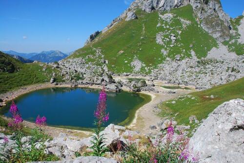 On ne se lasse pas ...de regarder ce petit miroir