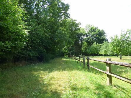 Randonnée forestière en Pays du Neubourg