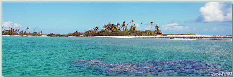 Départ pour le motu Tetamanu (Passe sud) : vue du bateau - Atoll de Fakarava - Polynésie française