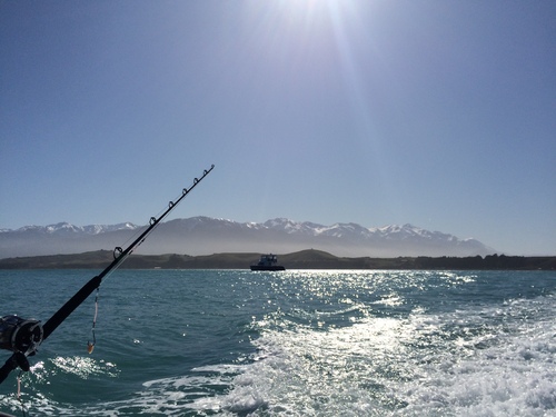 Pêche en mer NZ