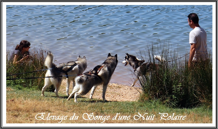 Rencontre des Songes (26 juillet 2020) (II)