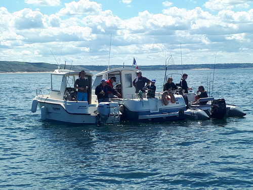 Samedi 11 juillet , traditionnelle partie de pêche à Diélette