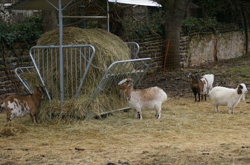 le gouffre du Rat à Orsonnette.Randonnée du 11.01.2017