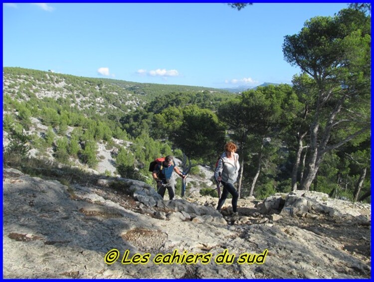 Calanques, Port pin et le plateau de Cadeiron