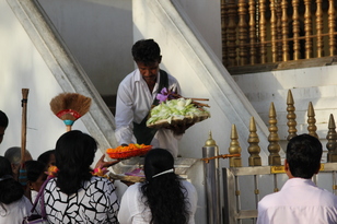 Anuradhapura, Mihintale et Tricomalee du 16 au 18 février 2015