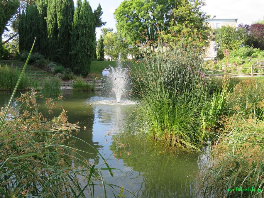 le parc à Chalon 