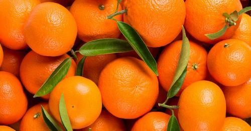 C'est quoi la différence entre une clémentine et une mandarine ?