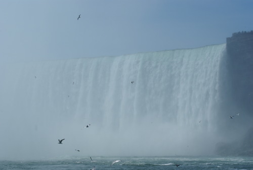 L'aventure Niagara