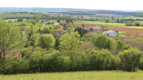 QUE LA BOURGOGNE EST BELLE AU PRINTEMPS !