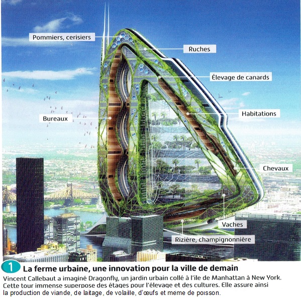 Habiter La Ville De Demain Pericles 64