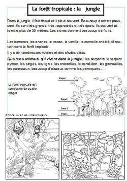 Découverte du monde CP et CE1: l'Afrique