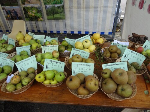 La fête de la pomme 2013 a eu lieu à Laignes !
