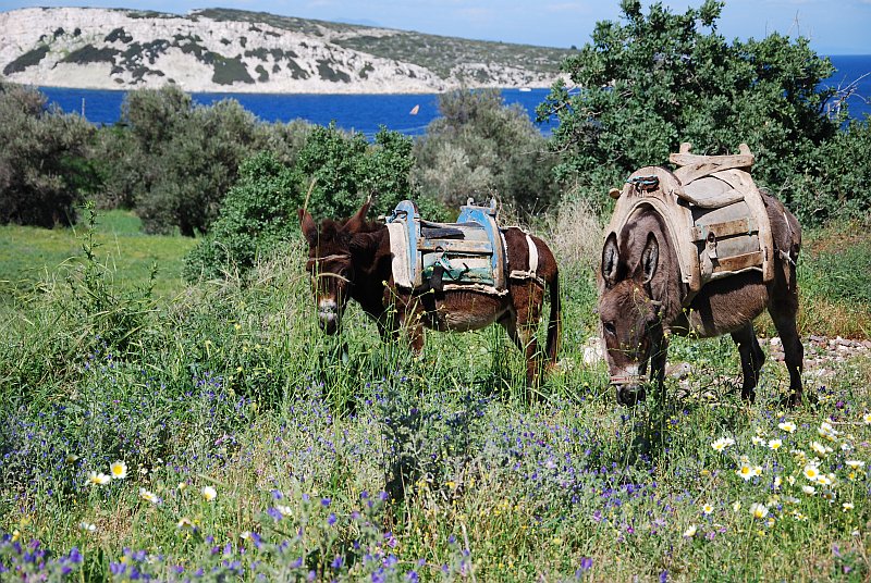 turquie karaburun schnoebelen