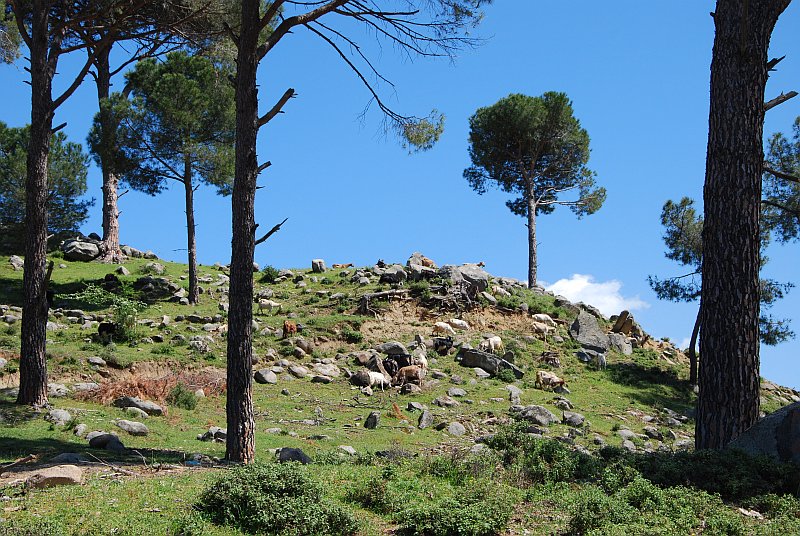 turquie karaburun schnoebelen