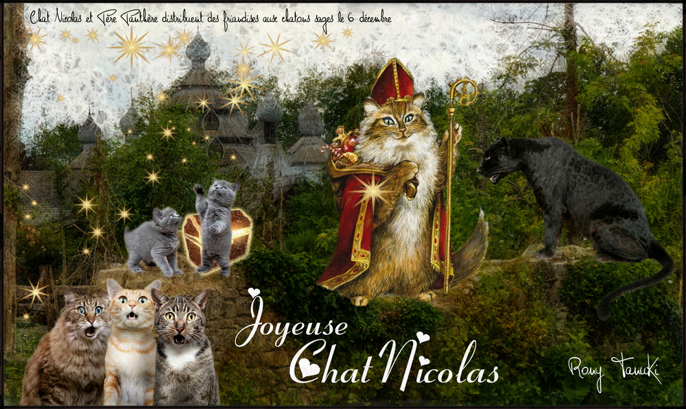 Bonne fête de Saint Nicolas (Chat  Nicolas)