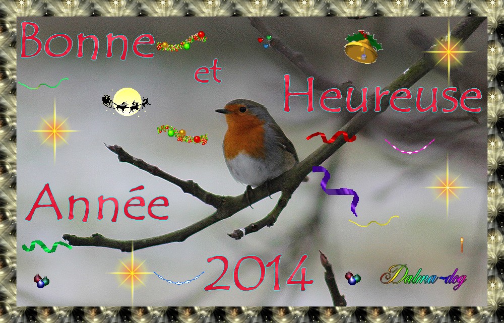 bonne et heureuse année 2014