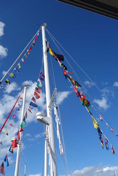 le wooden boat festival 