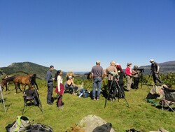 Sortie comptage oiseaux migrateurs : col de Larnat (Ariège) - 09