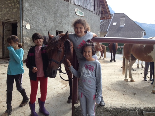 Stage équitation 