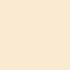 fond orange transparent