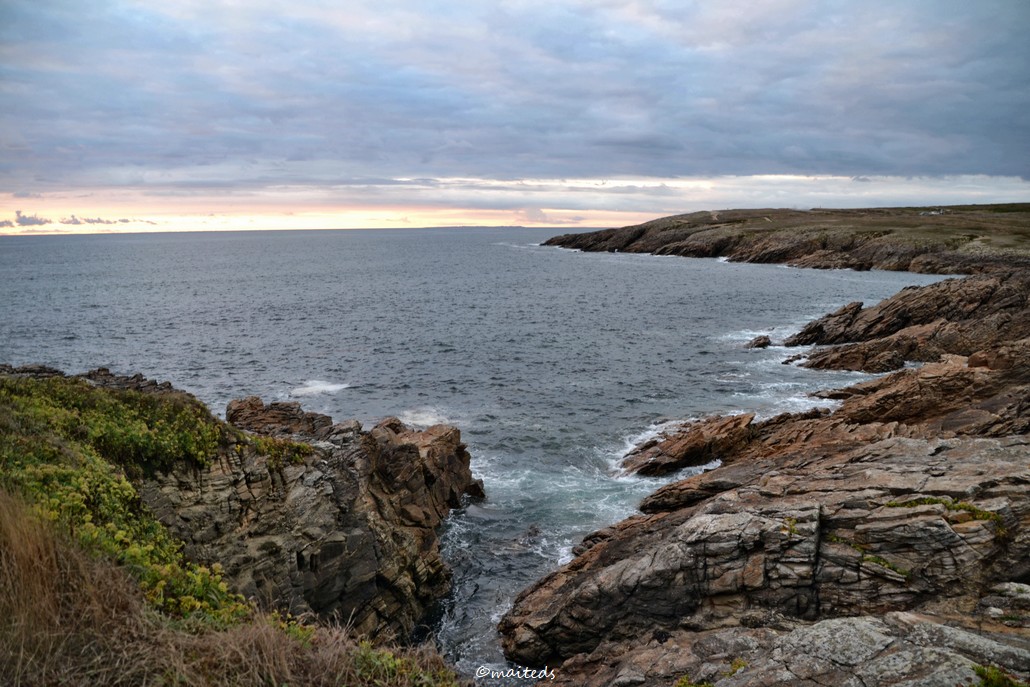 Côte sauvage de Quiberon (56)