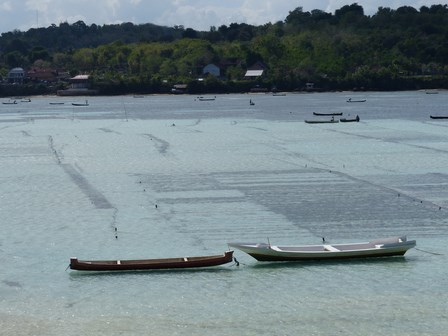 Nusa Lembongan, une île qui ne ressemble pas à sa voisine