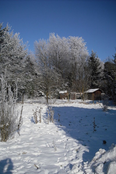 Blog de melimelodesptitsblanpain :Méli Mélo des p'tits Blanpain!, Le ciel bleu et la neige...