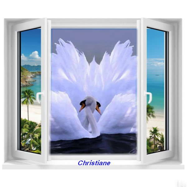 Bon Dimanche et merci