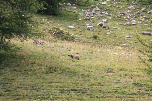 Lacs de Lignin    Colmars les Alpes