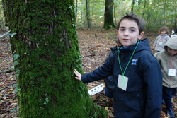 Mercredi 13 novembre : sortie à la forêt de Touffou pour les maternelles