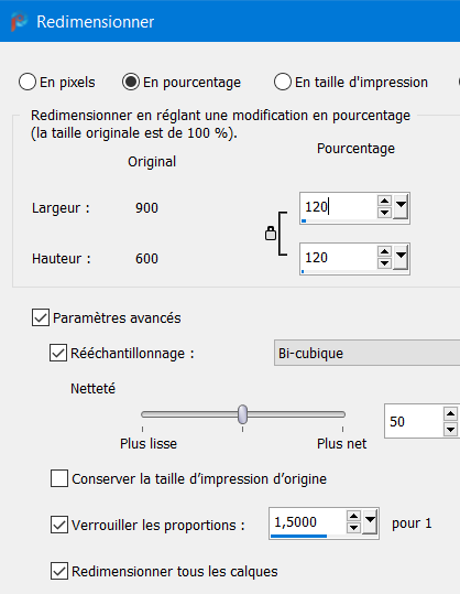 Journée Carnaval 