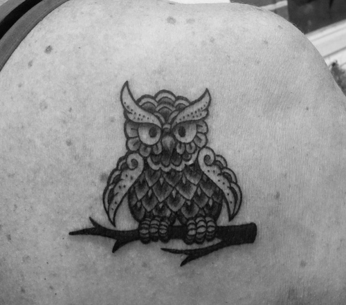 hibou