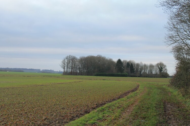 Décembre déjà ça bouge ...