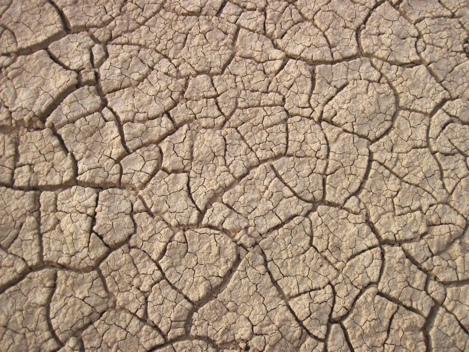 Lac de Merzouga asséché