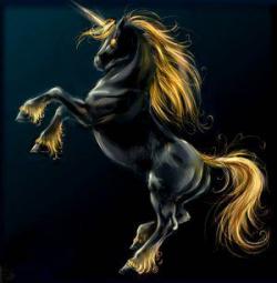 Rêves L'Éveil L'Onde Cédric Roux Robin Marcoux