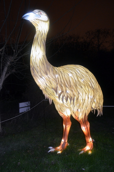 Une exposition extraordinaire au Jardin des Plantes