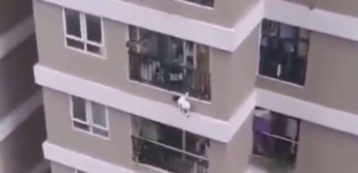 Une fillette de 2 ans survit miraculeusement à une chute du 12e étage