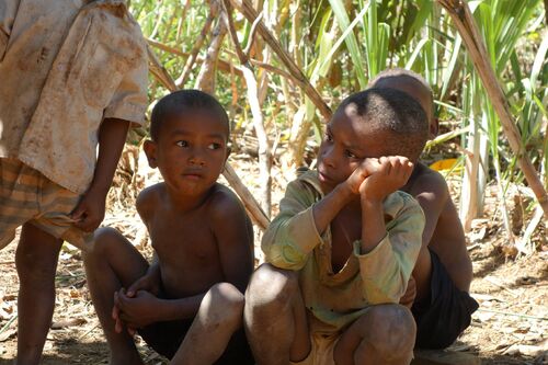 2 juillet au 13 juillet: Madagascar, deuxième partie