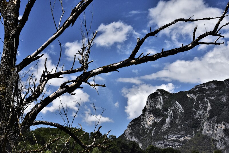 2020.06.21 Lac de Sainte Hélène (département de la Savoie)