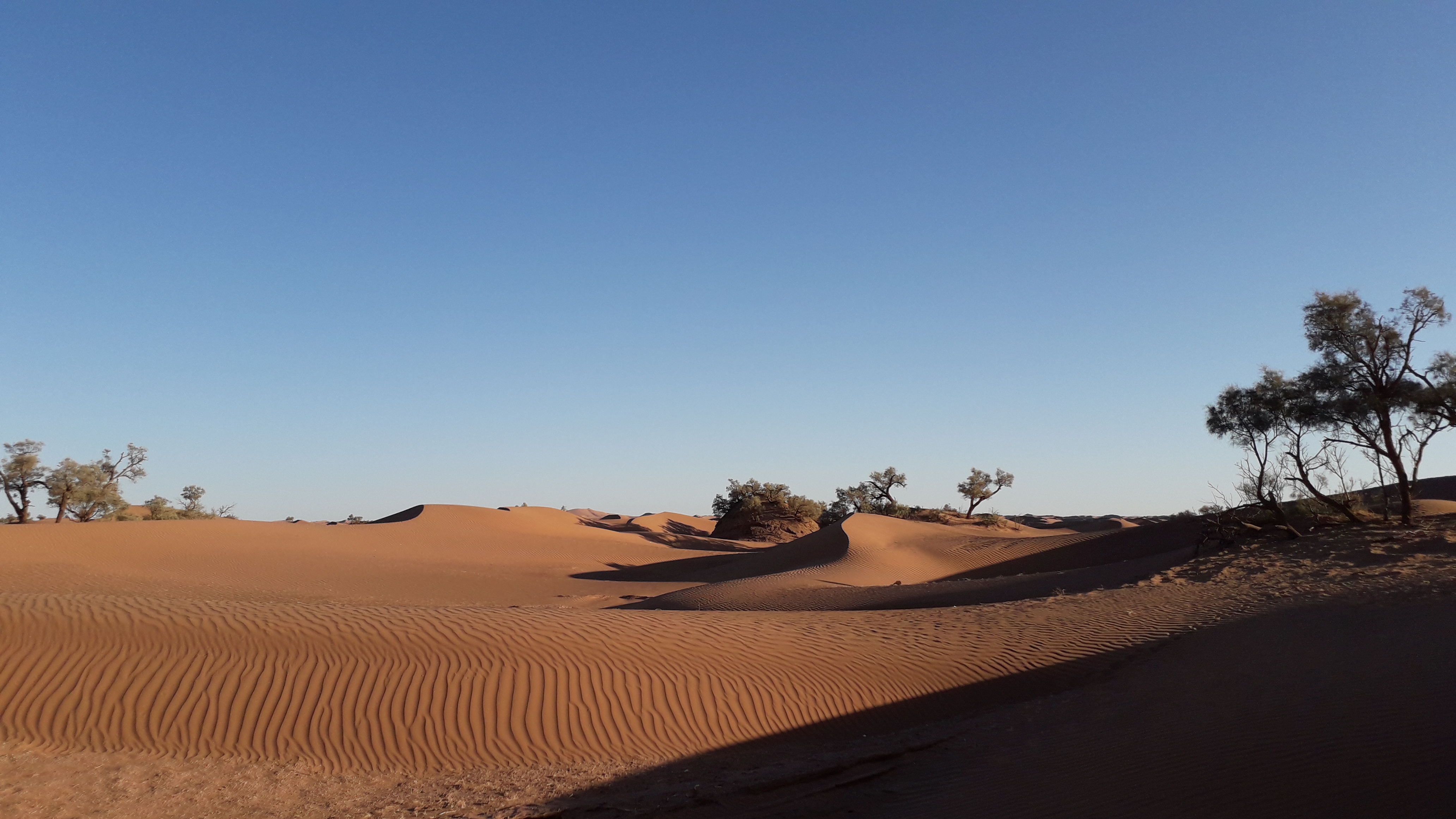 Sand River Bivouac au pied de dunes