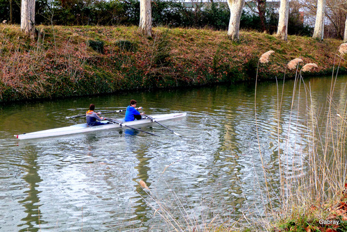 C'est l'aviron ...