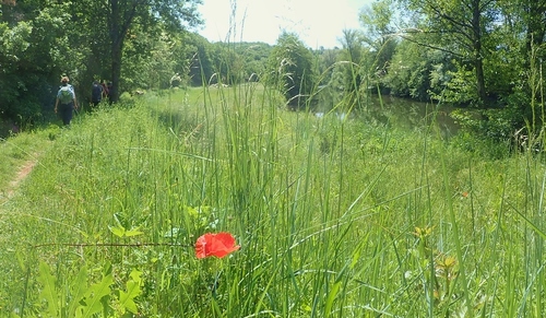 Montlaur au fil de l'eau