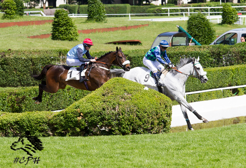 Grand Steeple Chase de Paris