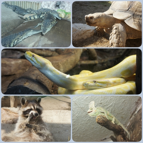 Le Zoo de Mercoules