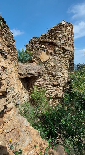 Peut être une image de monument et nature