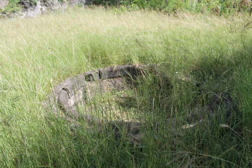 Sainte Pierre puis Jardin Balata